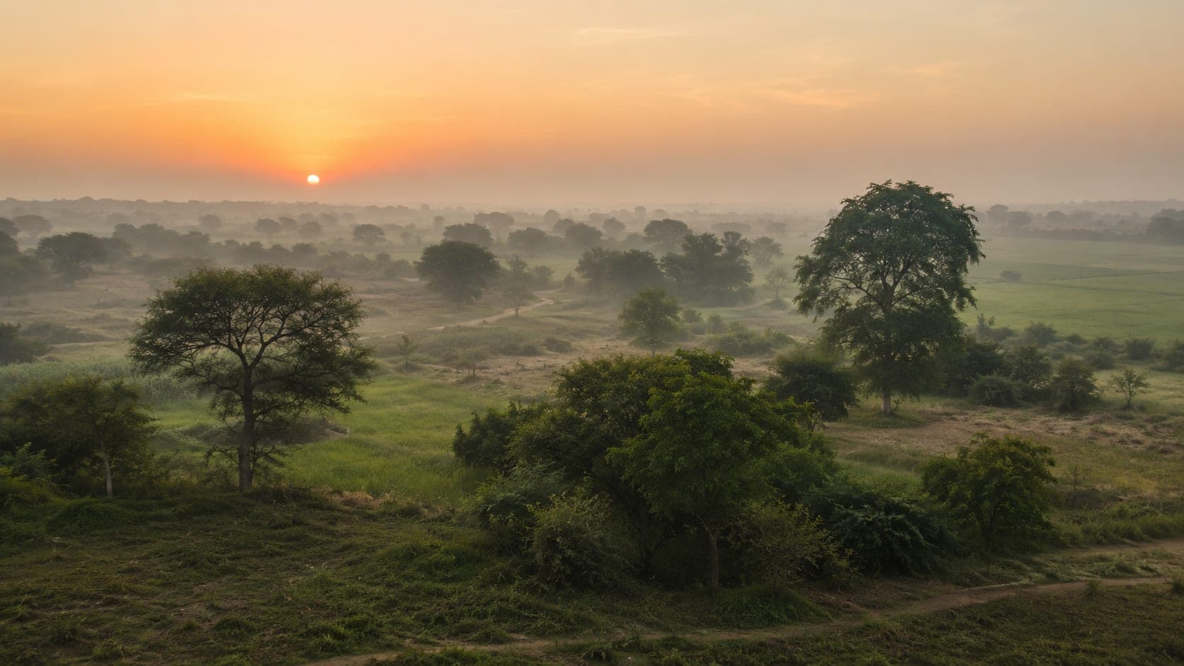 The Braj landscape at dawn
